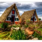 Bauernhaus in Santana auf Madeira