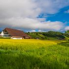 Bauernhaus in Worb