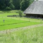 Bauernhaus Panaorama