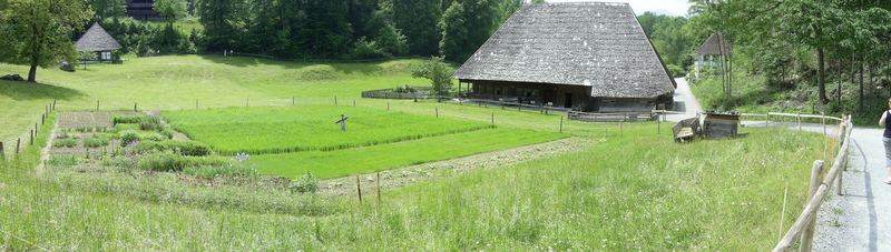 Bauernhaus Panaorama