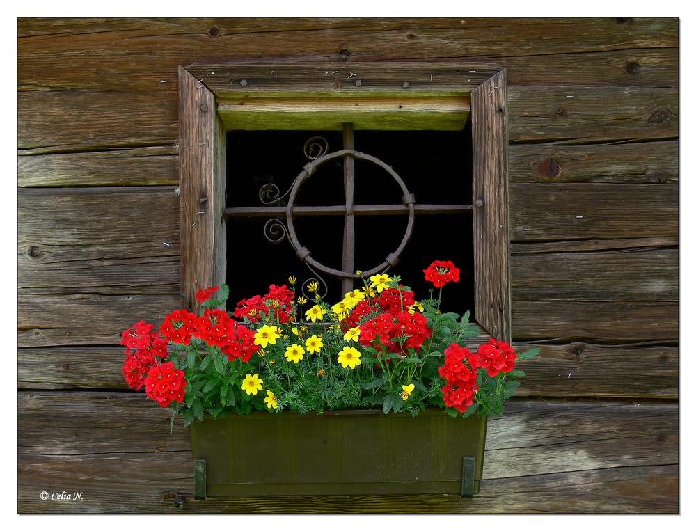 Bauernhausfenster