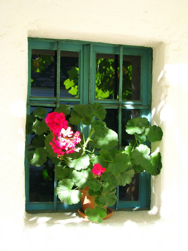 Bauernhausfenster im Herbstlicht