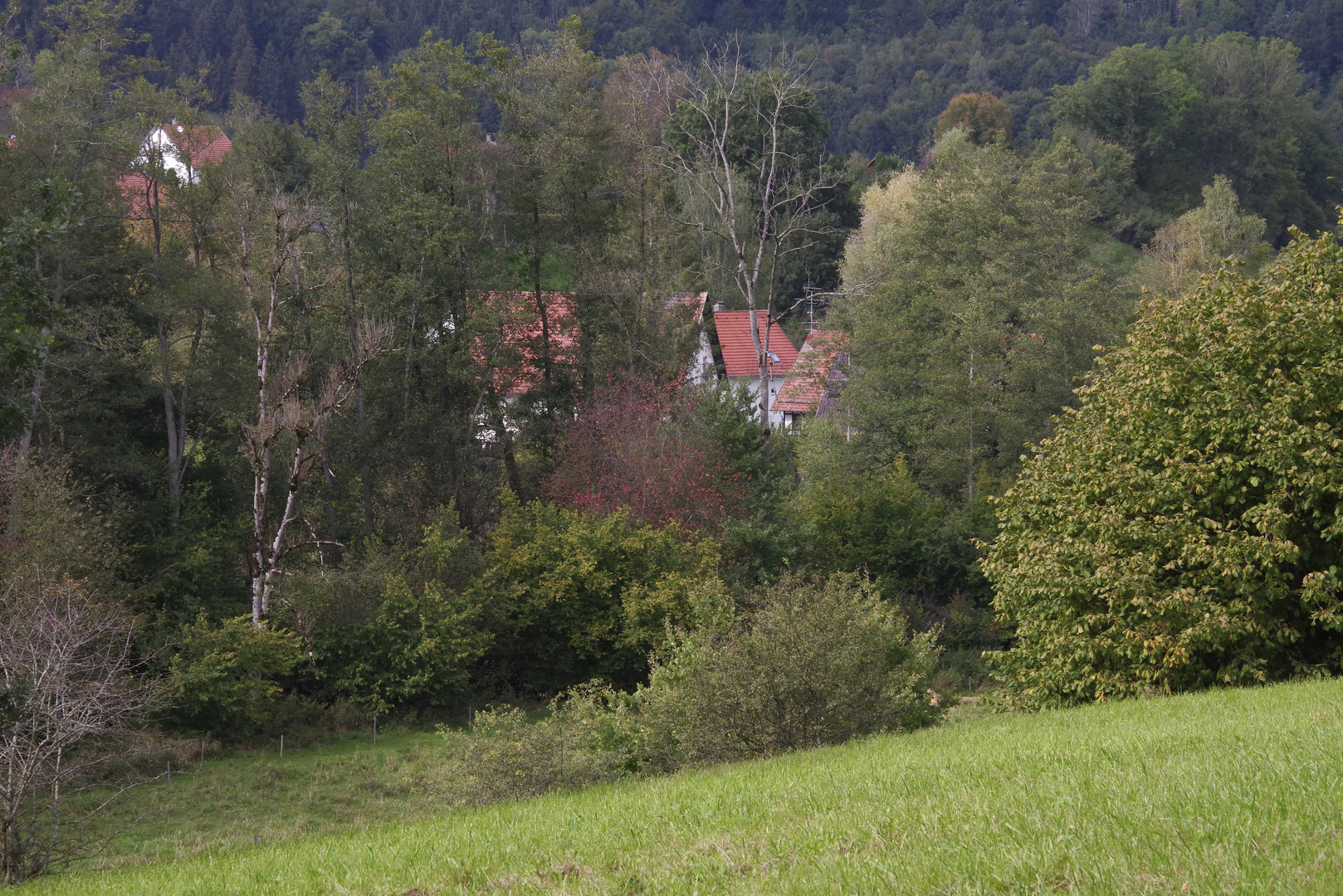 ...Bauernhausmuseum