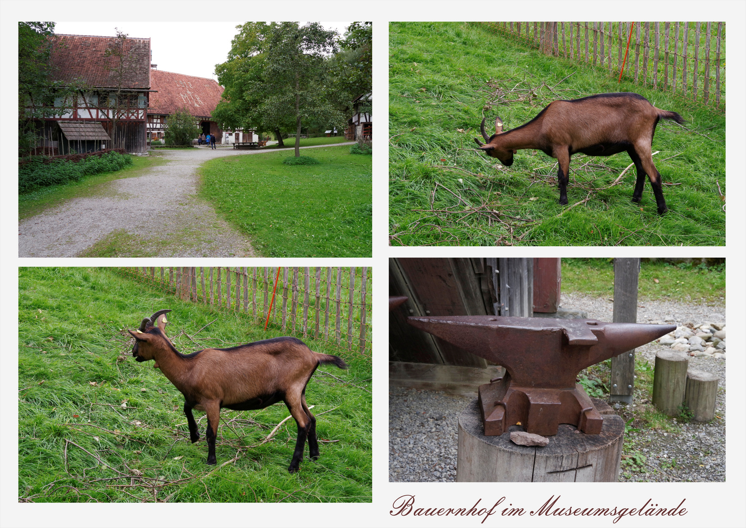 ...Bauernhausmuseum 