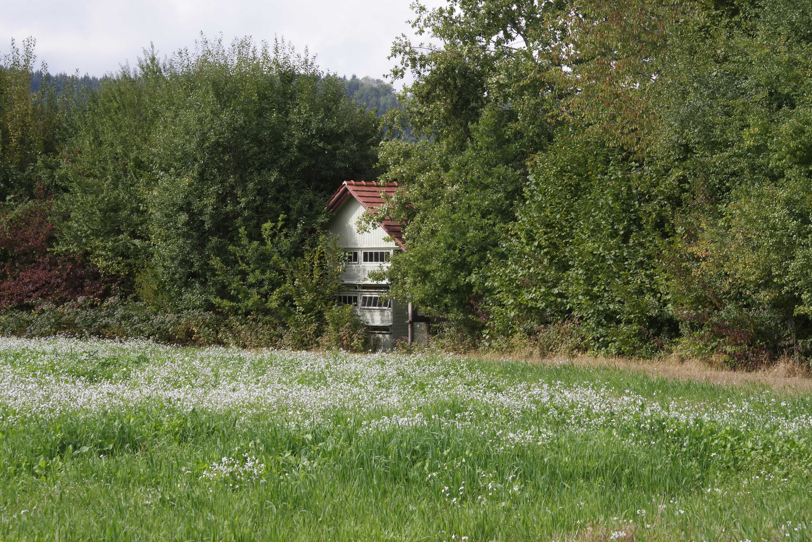 ...Bauernhausmuseum