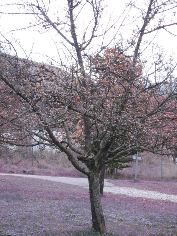 Bauernherbst