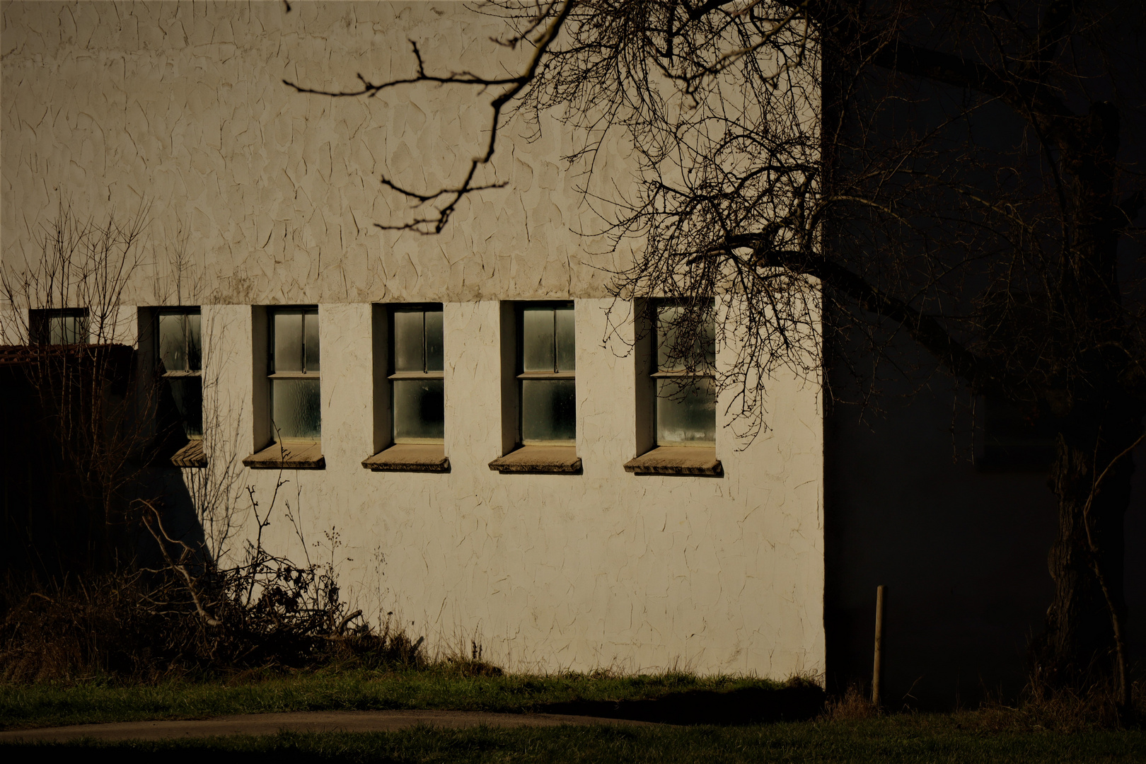 Bauernhöfe a.d.Fildern umgeben von kargem Geäst