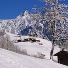 Bauernhöfe am St. Martiner Hirschbühel