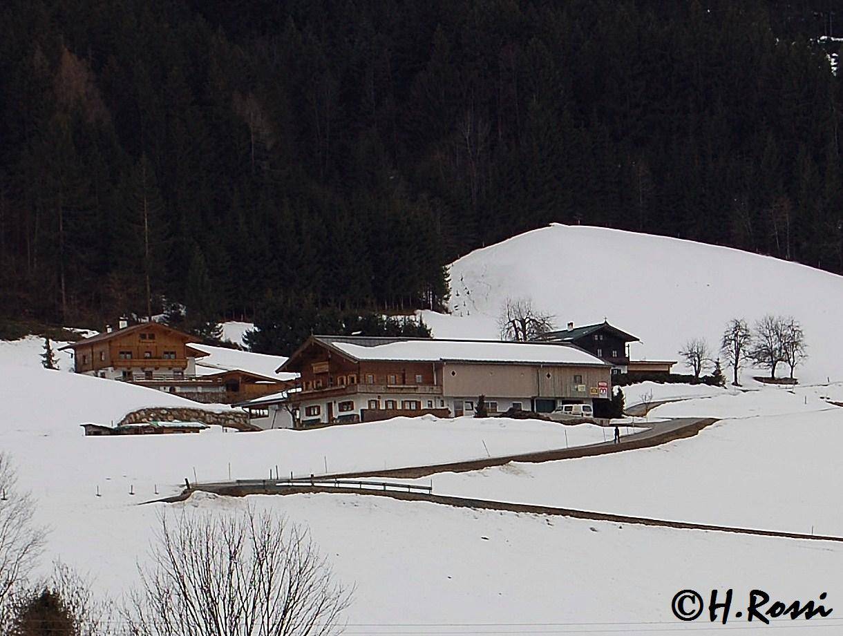 Bauernhof am Waldesrand