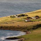 Bauernhof auf den Shetland