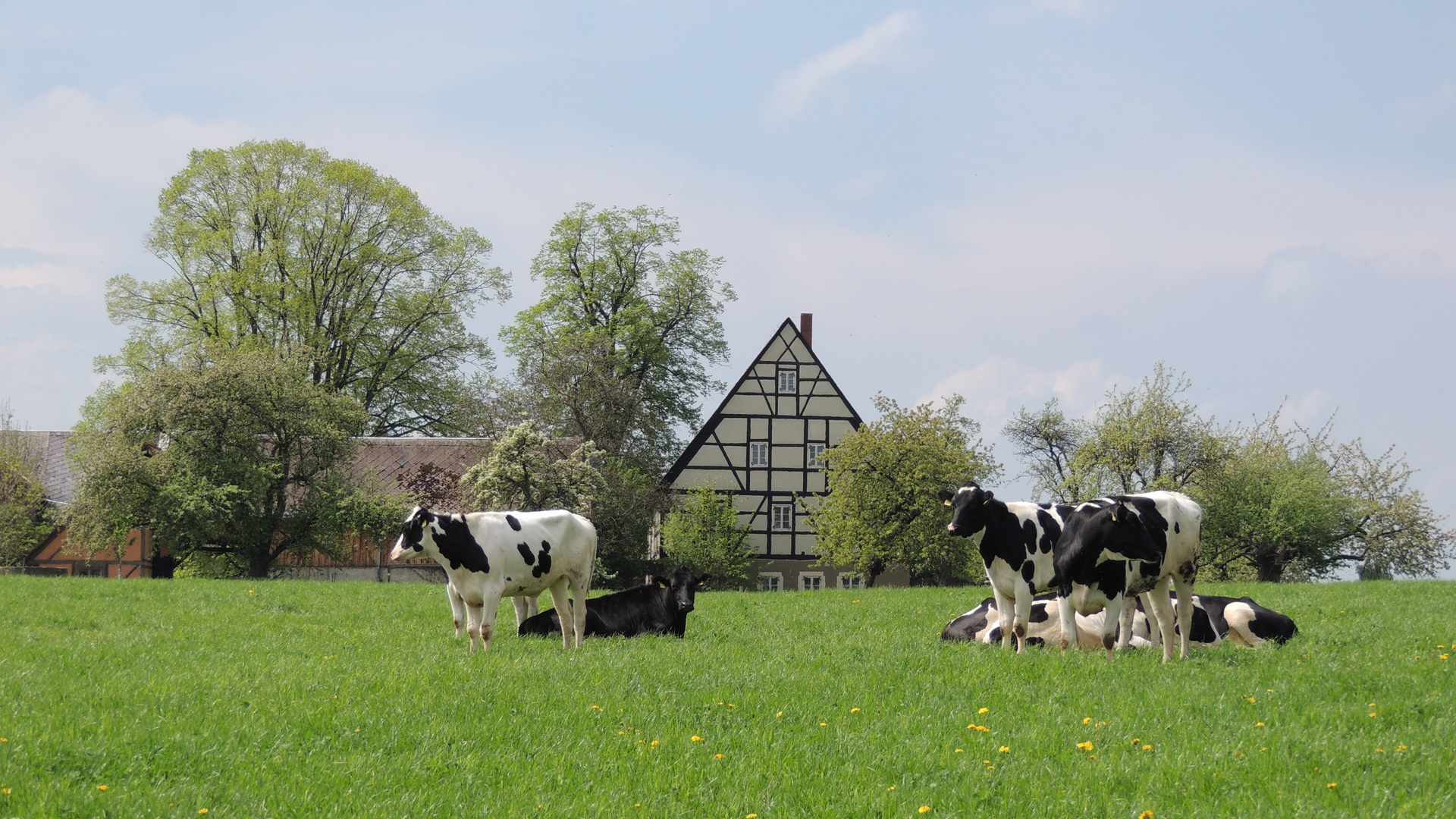 Bauernhof bei Nossen