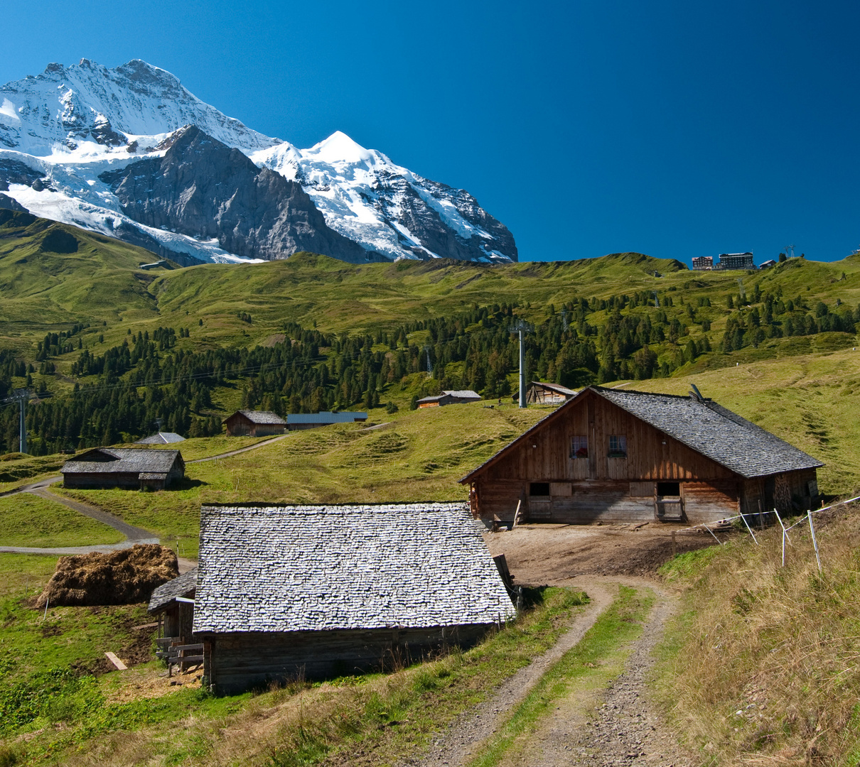 Bauernhof im Berner Oberland