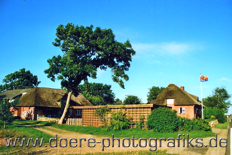 Bauernhof im Einklang mit der Natur vor Sylt