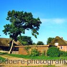 Bauernhof im Einklang mit der Natur vor Sylt