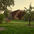 Bauernhof im Frühling