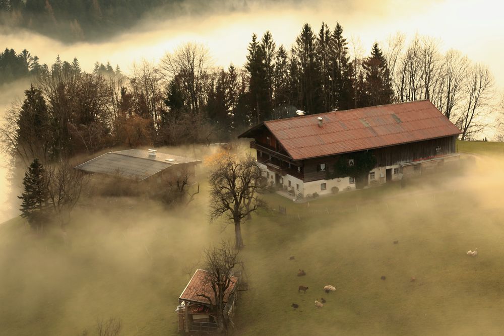 Bauernhof im Nebel