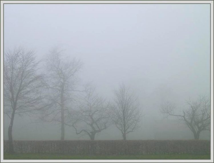 Bauernhof im Nebel