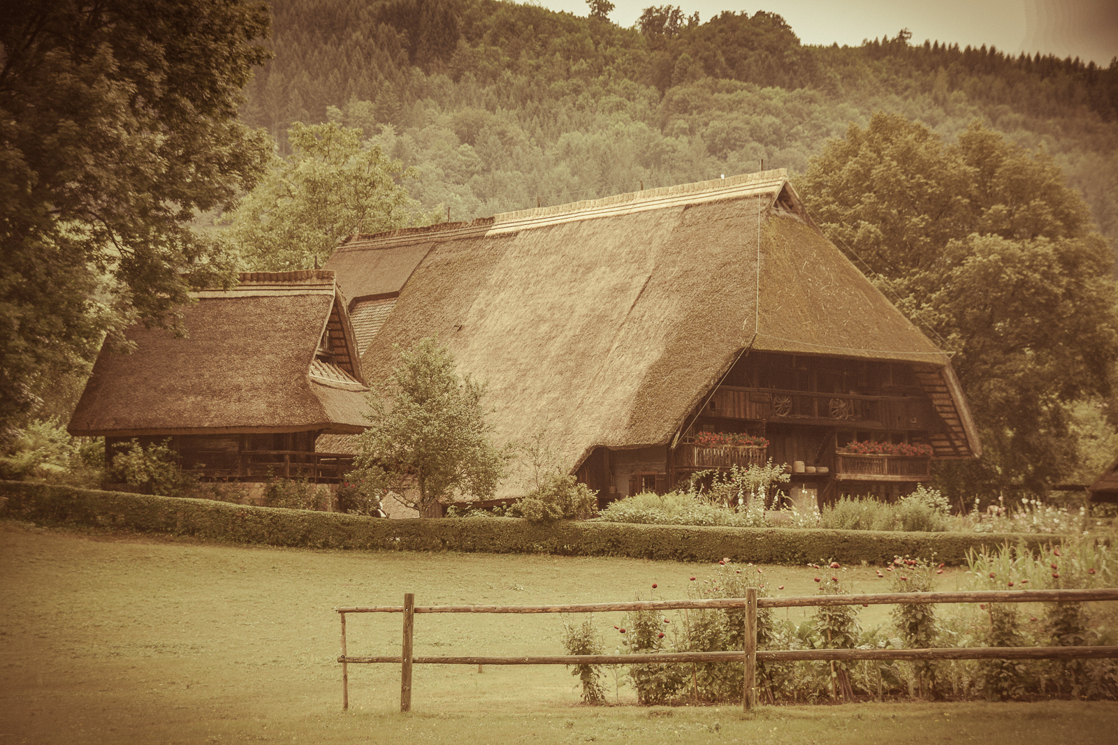 Bauernhof im Schwarzwald