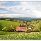 Bauernhof in der Abendsonne