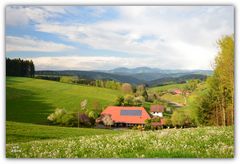 Bauernhof in der Abendsonne