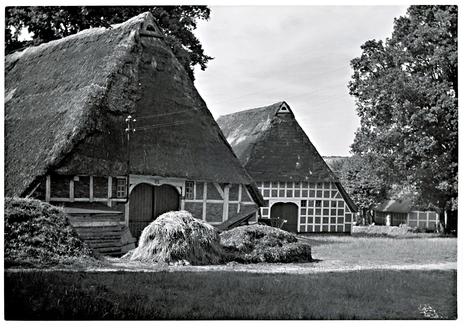 Bauernhof in Hedendorf Buxtehude 