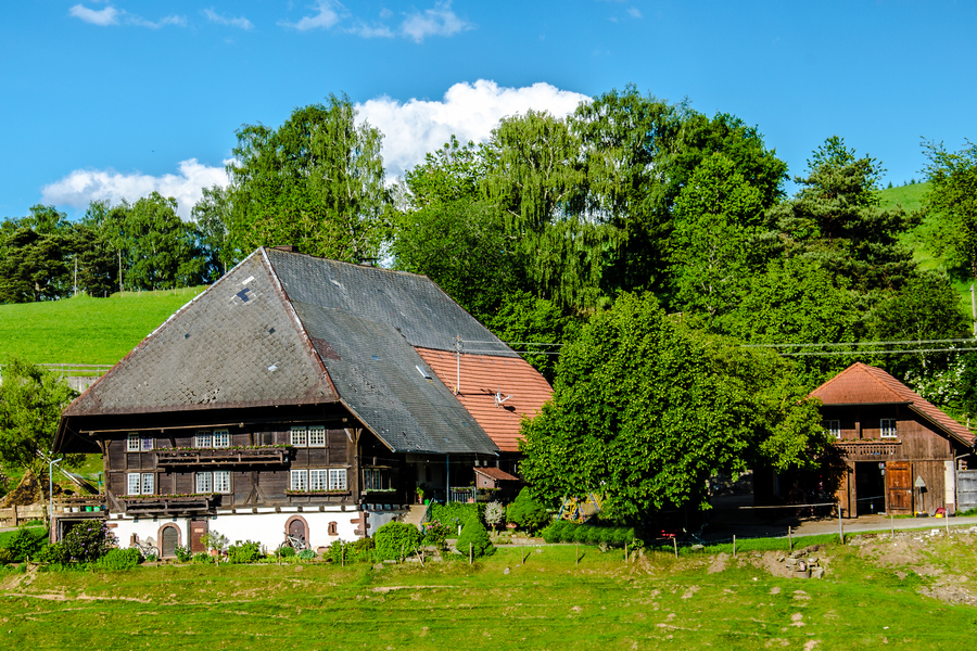 Bauernhof in Mühlenbach/Schwarzwald
