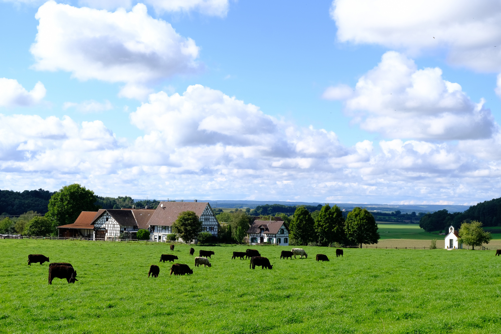 Bauernhof in Oberschwaben