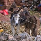 Bauernhof in Peru