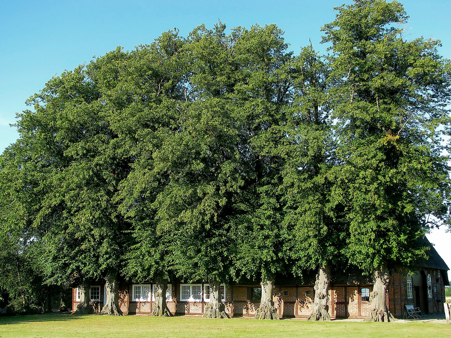 Bauernhof in Schleswig-Holstein,Kiel bei Schönberg 