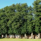 Bauernhof in Schleswig-Holstein,Kiel bei Schönberg 