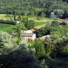 Bauernhof, inmitten von Weintrauben und Olivenbäumen