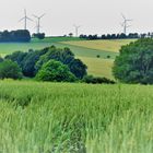 Bauernhof - Sommer - Kornfelder - Windräder    