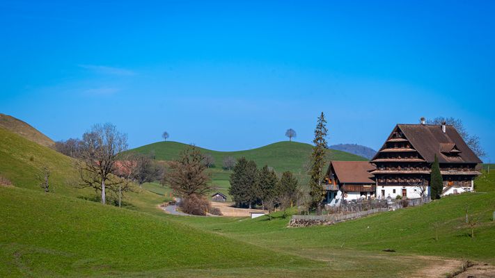 Bauernhofidylle im Zuger Drumlinland
