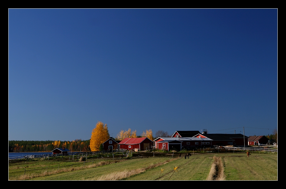 Bauernhof_in_Südlappland