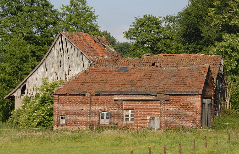 Bauernhofruine (2)