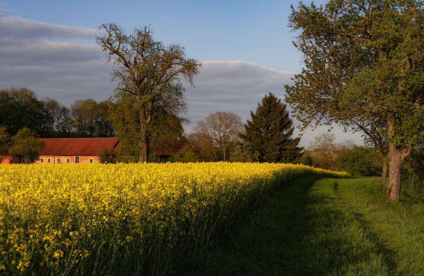 Bauernlandschaft