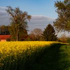 Bauernlandschaft