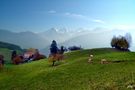 Bauernleben im Berner Oberland von Juan