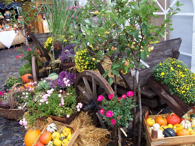 Bauernmarkt & Apfelfest, Kloster Arnsburg Sept.05