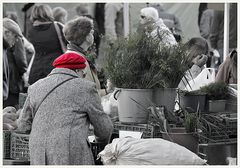 Bauernmarkt in Tromsø (2)