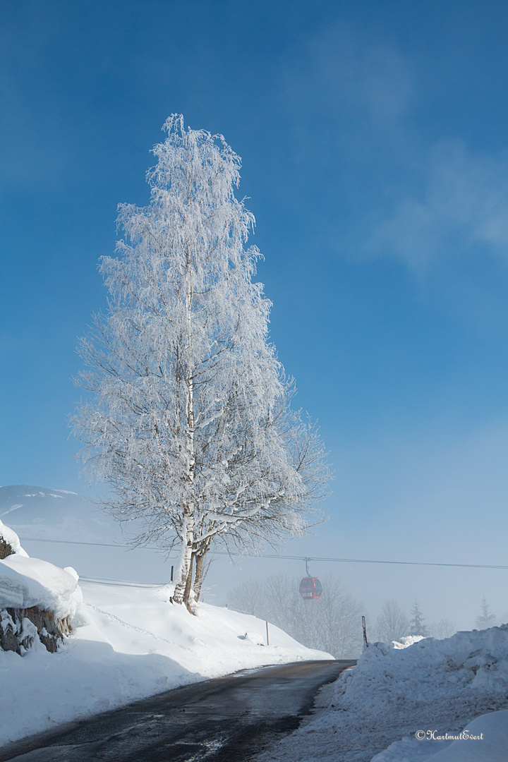 Bauernschnee.....