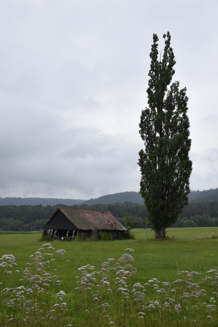 Baufällige Hütte