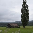 Baufällige Hütte