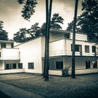 BAUHAUS dessau (03)