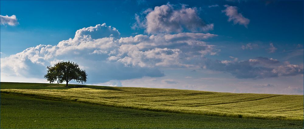 Bauland von Colors of Life 