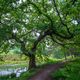 Wald und Wasser