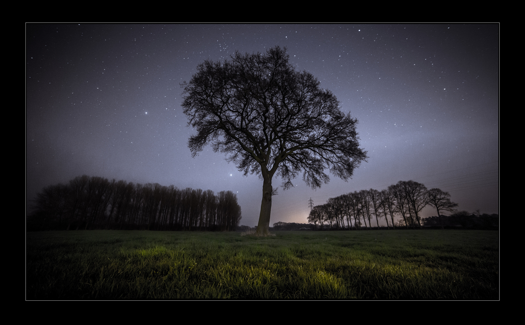 Baum @ Alter Postweg