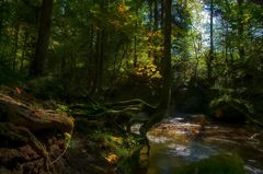 Baum am Bach .....ach