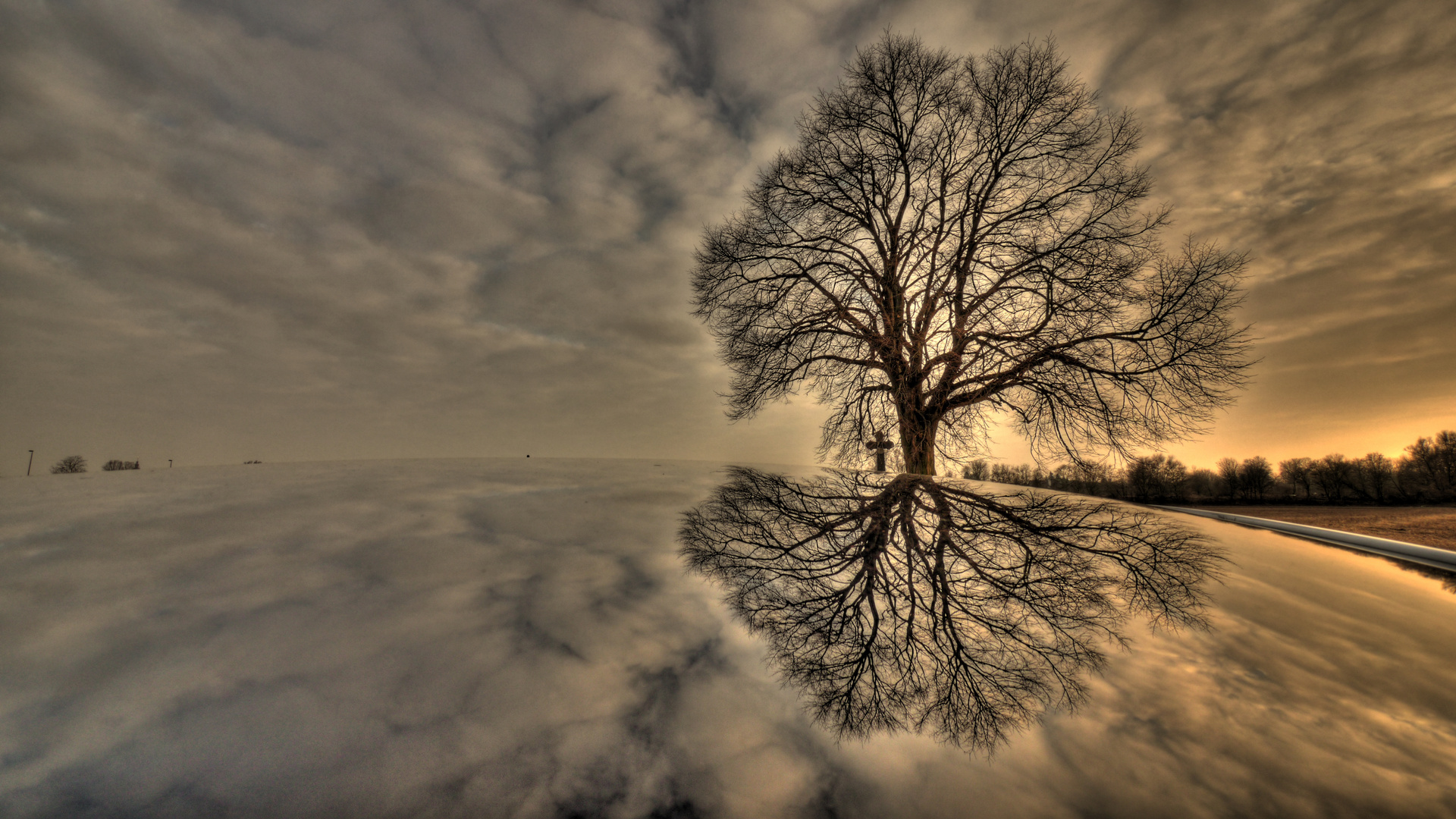 Baum am Horizont