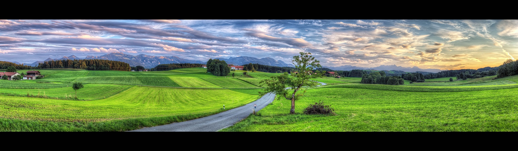 Baum am Ortausgang Greimharting